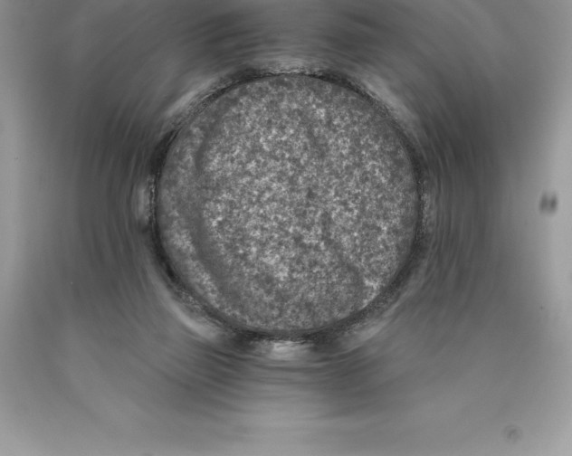 X0000089970165200707271928