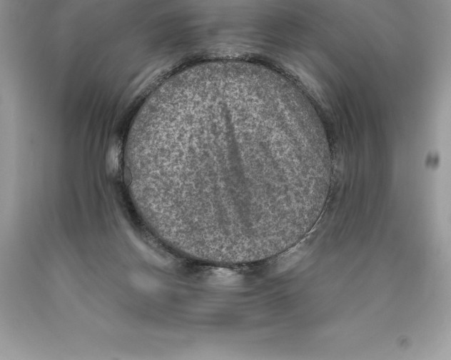 X0000089970166200707271928