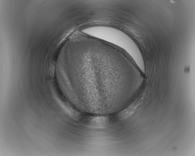 X0000089970168200707271929