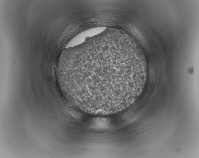 X0000089970169200707271929