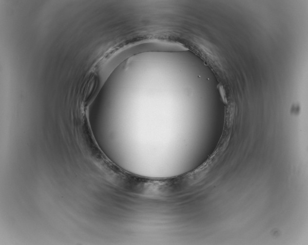 X0000089970172200707271929