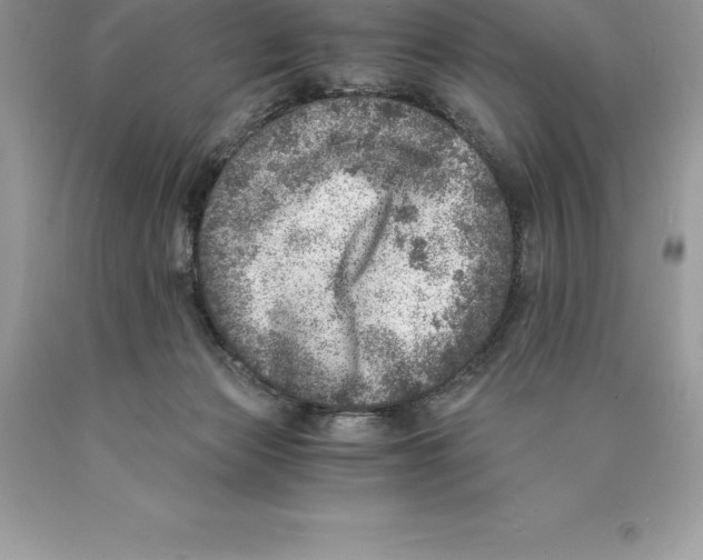 X0000089970173200707271929