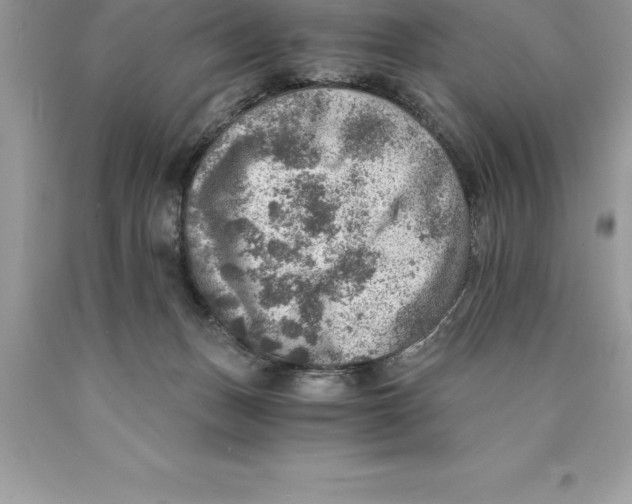 X0000089970175200707271929