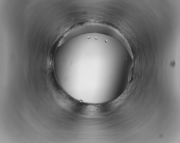 X0000089970176200707271929