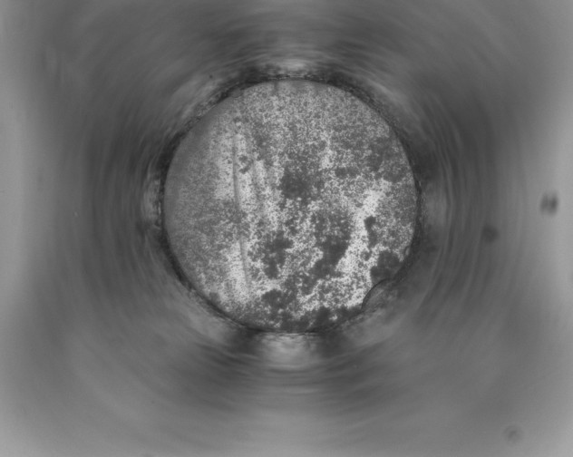 X0000089970181200707271929