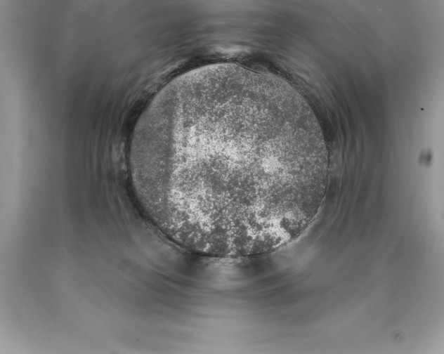 X0000089970182200707271929