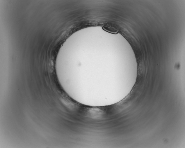 X0000089970183200707271929