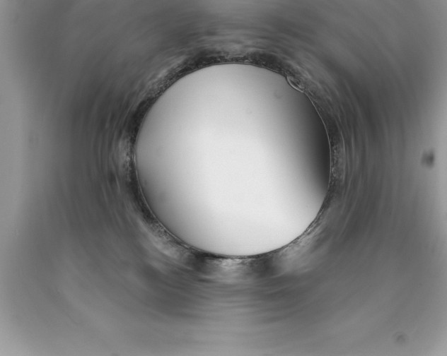 X0000089970184200707271929