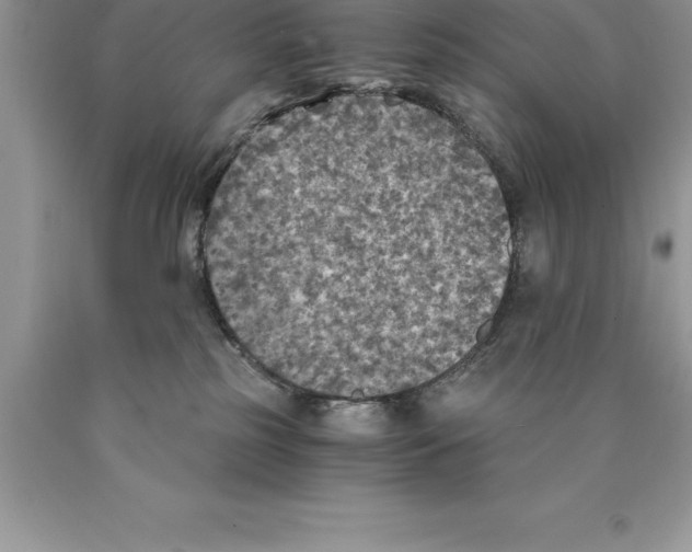 X0000089970185200707271929