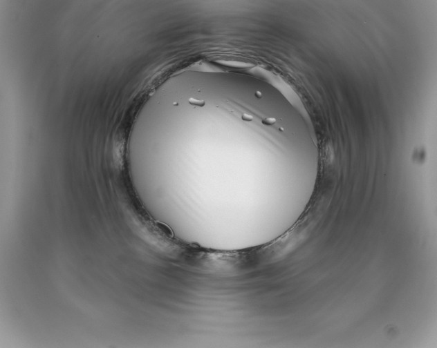 X0000089970188200707271929