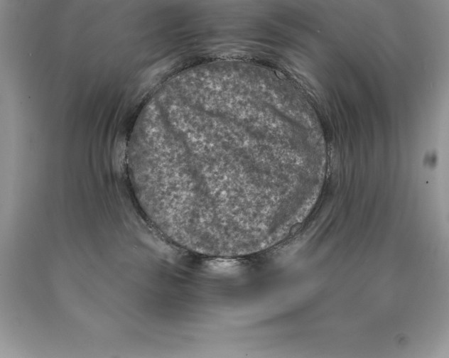 X0000089970189200707271929