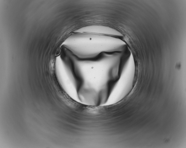 X0000089970190200707271929