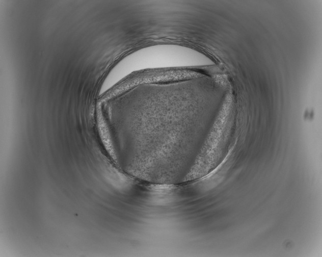 X0000089970192200707271929