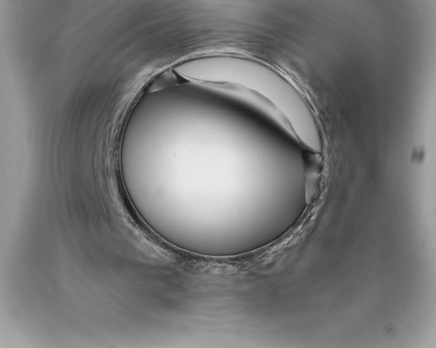 X0000089970193200707271928