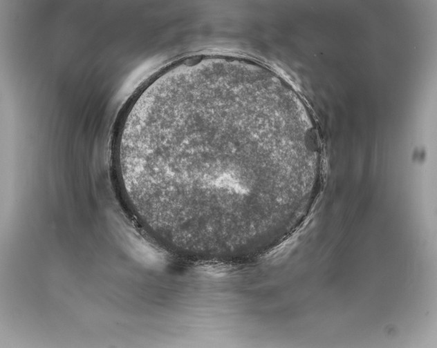 X0000089970199200707271928