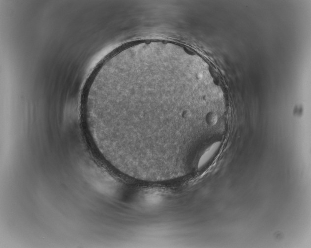 X0000089970200200707271928