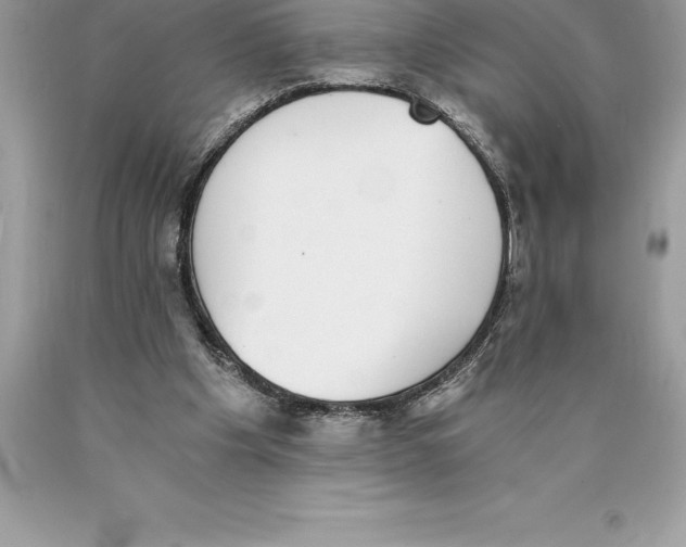 X0000089970201200707271928