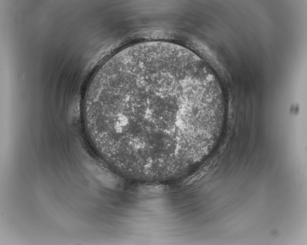 X0000089970202200707271928