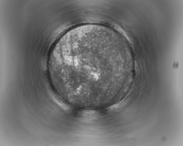 X0000089970203200707271928