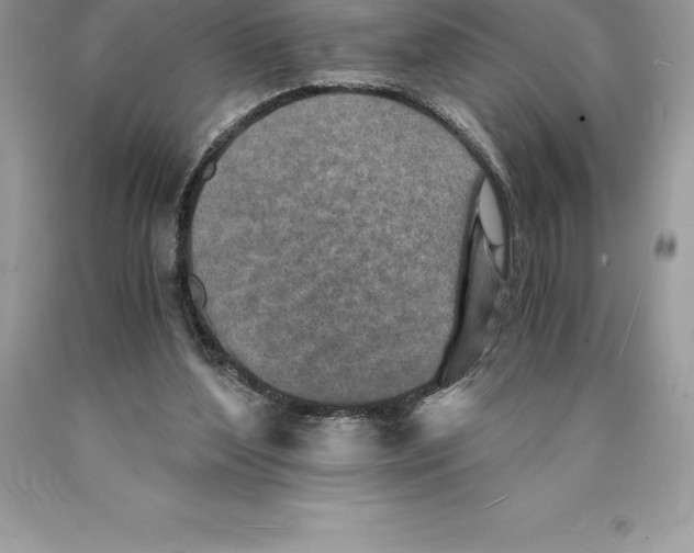 X0000089970204200707271928