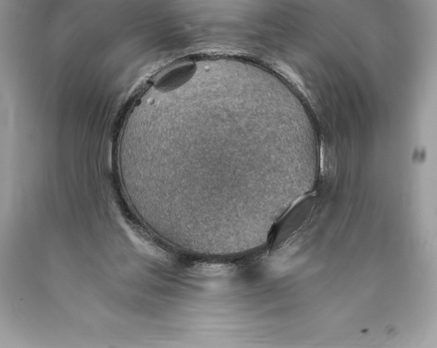 X0000089970205200707271928