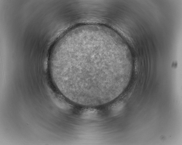 X0000089970206200707271928