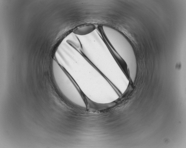 X0000089970207200707271928