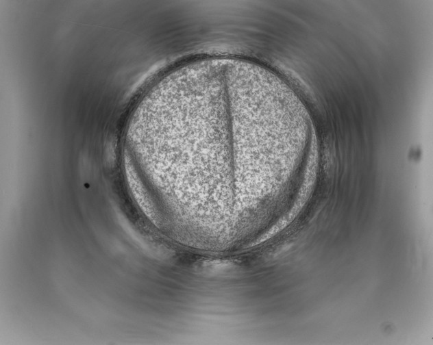 X0000089970208200707271928