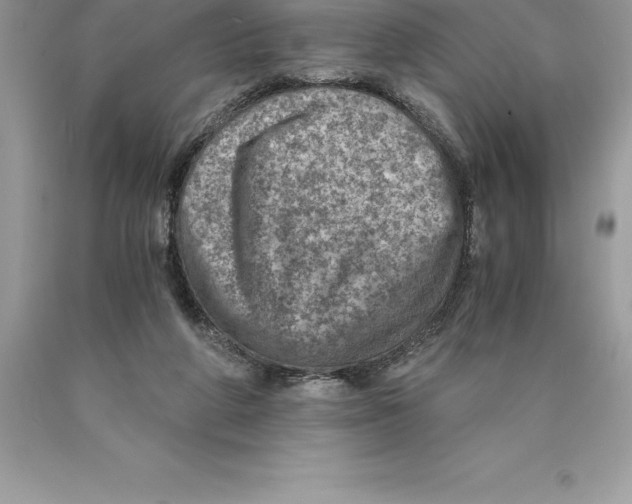 X0000089970210200707271928