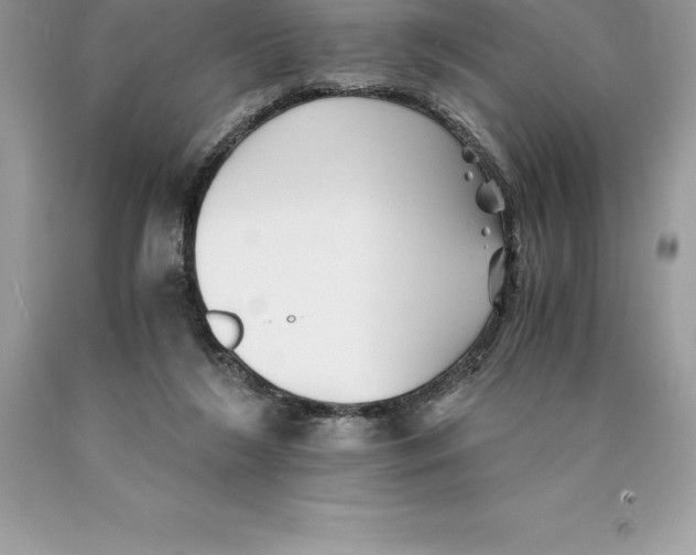 X0000089970212200707271928