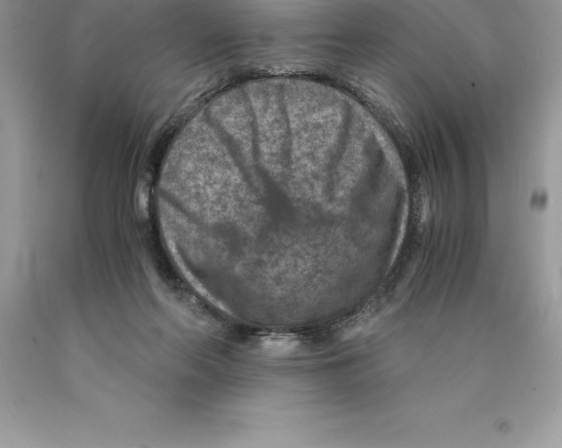 X0000089970214200707271928