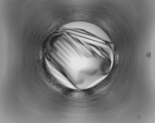 X0000089970215200707271928