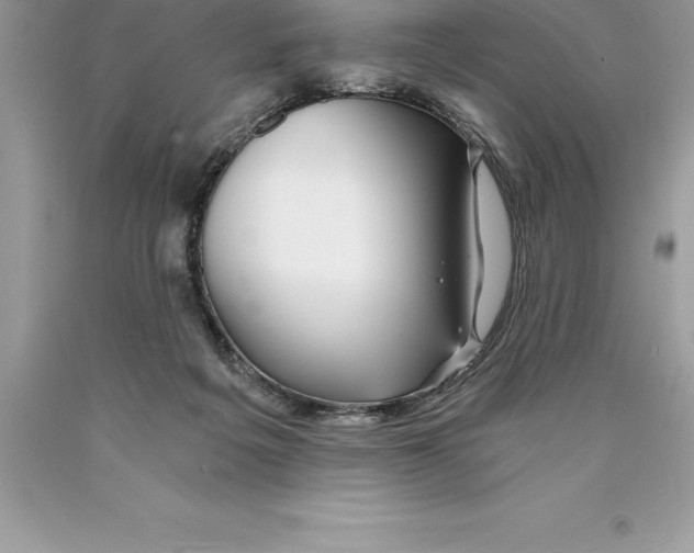 X0000089970217200707271928