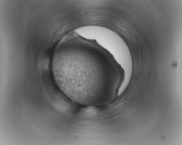 X0000089970219200707271928