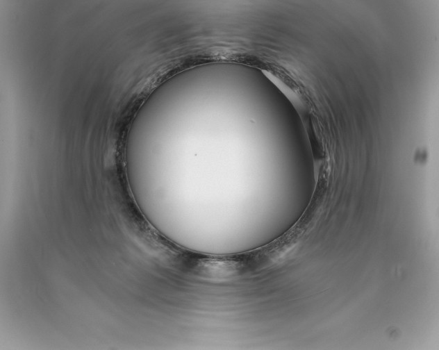 X0000089970221200707271928