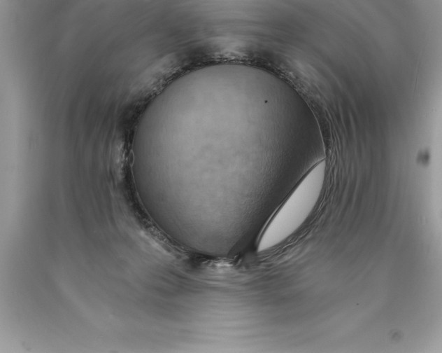 X0000089970223200707271928