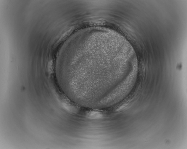 X0000089970224200707271928