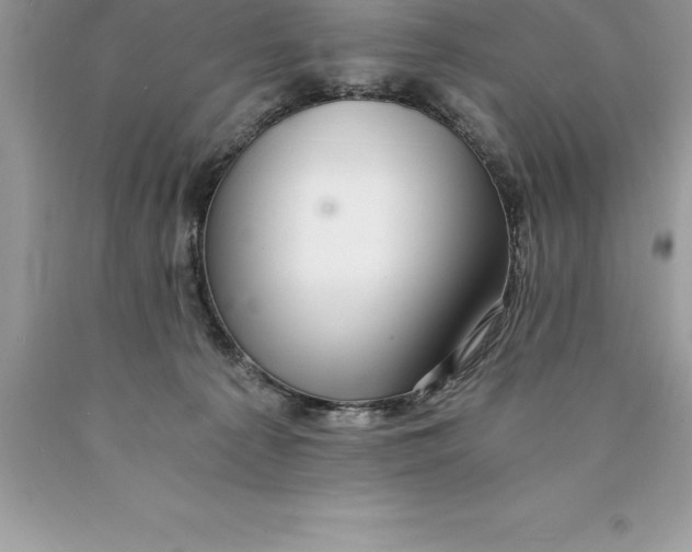 X0000089970225200707271928