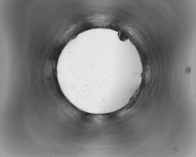 X0000089970229200707271928