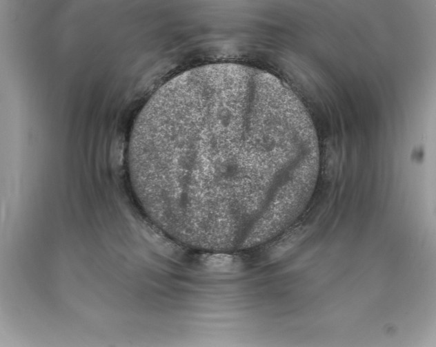 X0000089970230200707271928