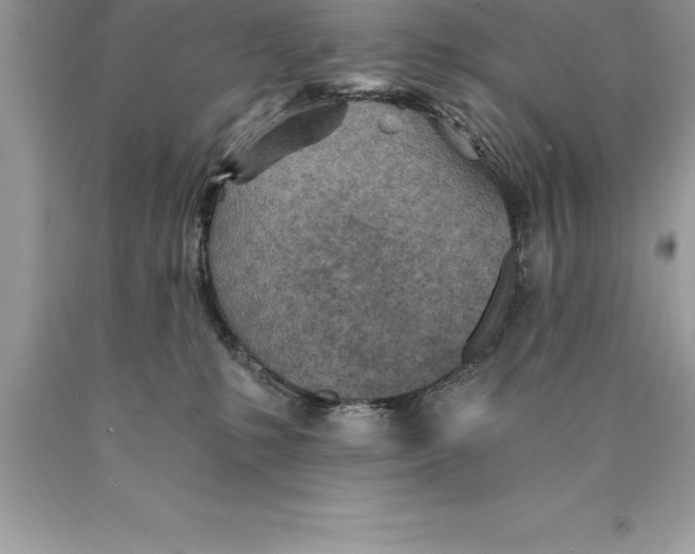 X0000089970231200707271928