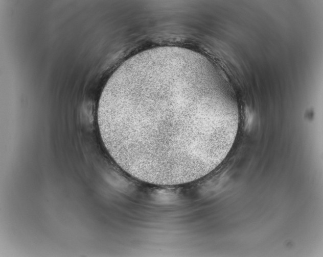 X0000089970232200707271928