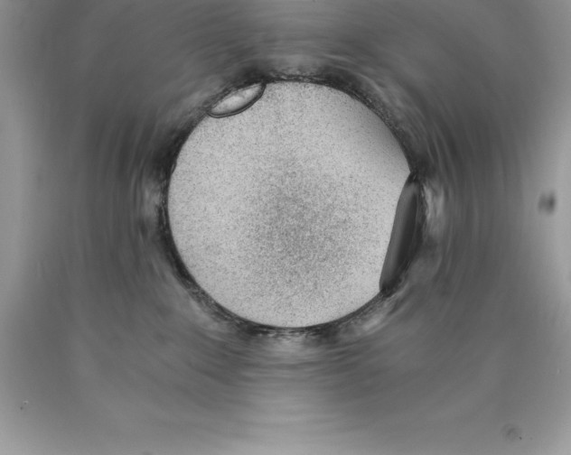 X0000089970235200707271928