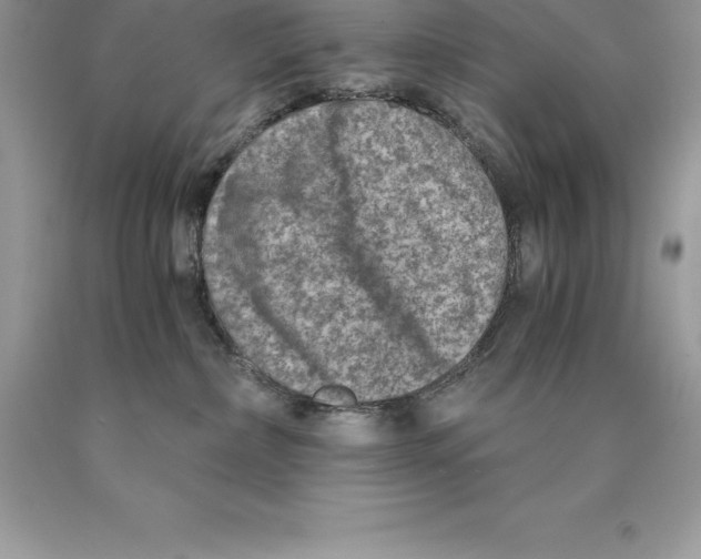 X0000089970236200707271928