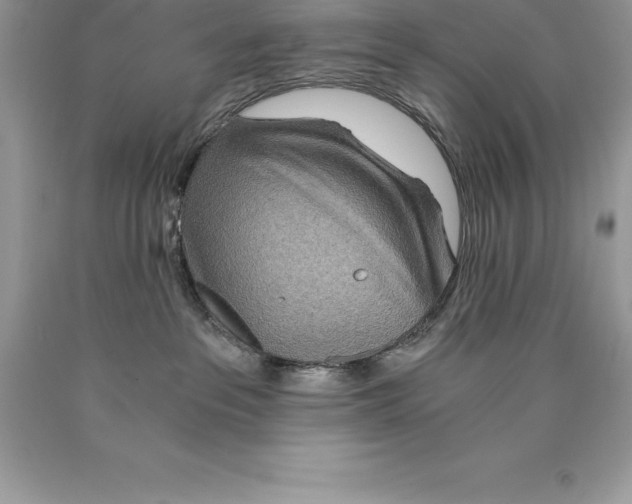 X0000089970237200707271928