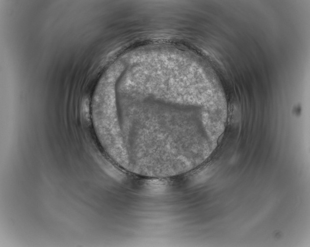 X0000089970238200707271928