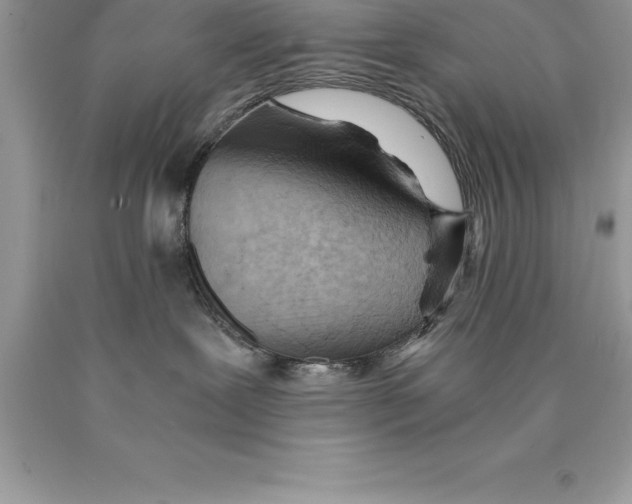 X0000089970239200707271928