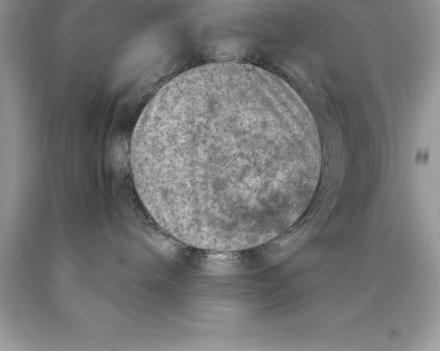 X0000089970240200707271928