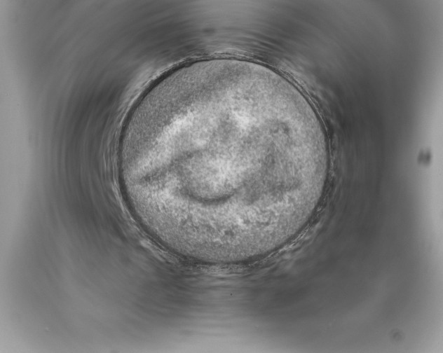 X0000089970241200707271927