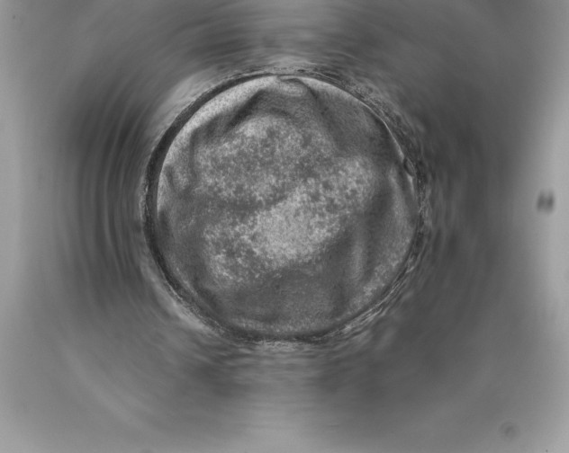 X0000089970242200707271927